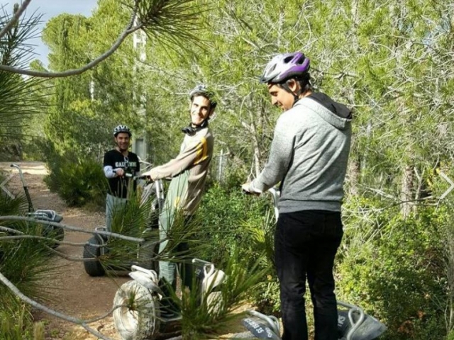 En segway entre los arboles